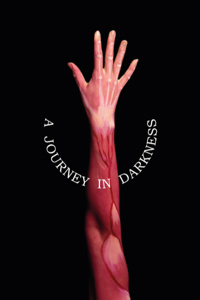 A Journey in Darkness by Mr. White book cover